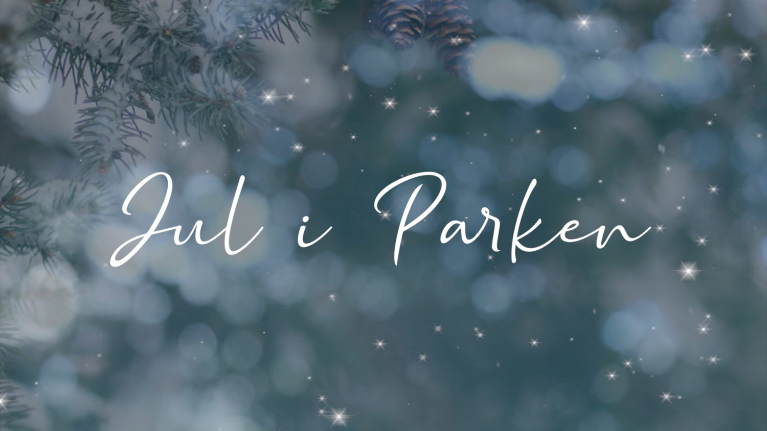 Jul i Parken